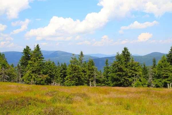 Jeseniky bergen natur — Stockfoto