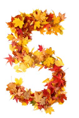 sonbahar yaprak tarafından alfabe işaret 