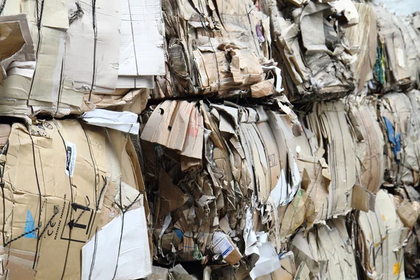 Papier karton pole śmieci — Zdjęcie stockowe