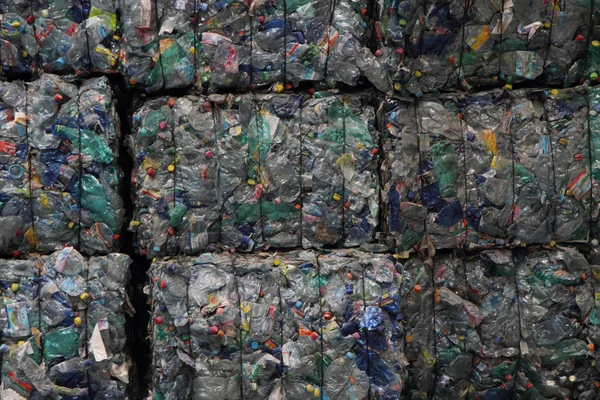 Plastic pet fles afval — Stockfoto