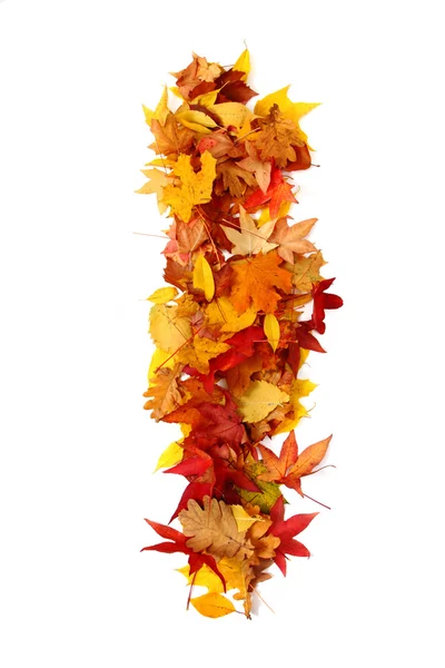 Alphabet sign from autumn leaf — Stock Photo, Image