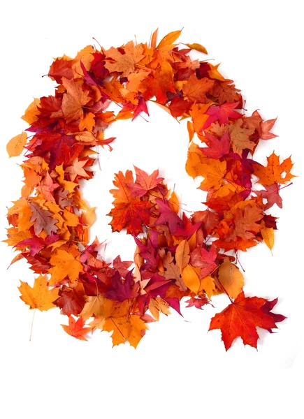 Alphabet sign from autumn leaf — Stock Photo, Image