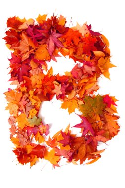 sonbahar yaprak tarafından alfabe işaret 