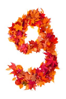 sonbahar yaprak tarafından alfabe işaret 