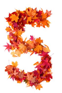 sonbahar yaprak tarafından alfabe işaret 