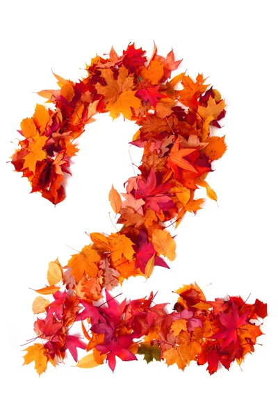 Alfabetet tecken från höstens löv — Stockfoto