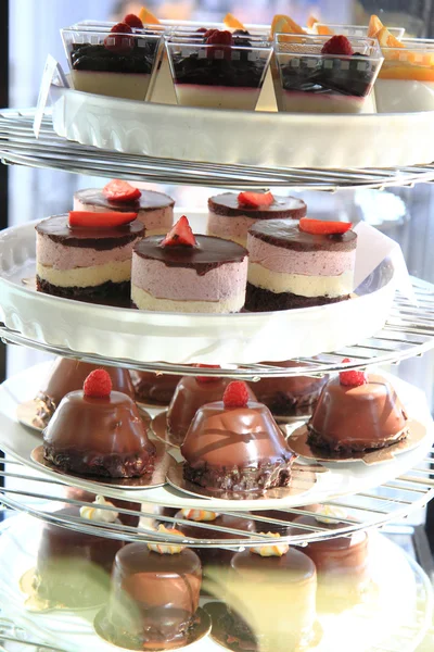 Verse chocolade desserts — Stockfoto