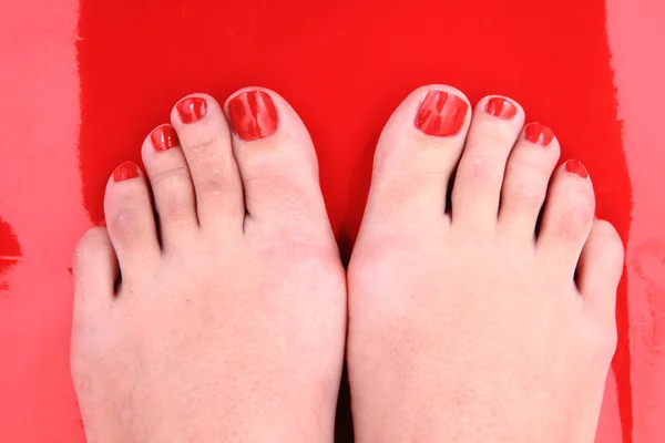 Belle gambe con pedicure — Foto Stock