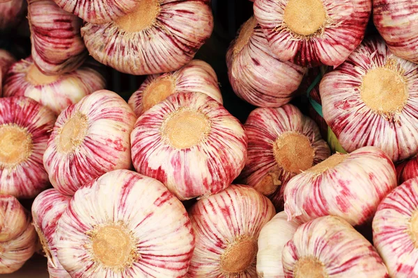 Fresh garlic background — Stock Photo, Image