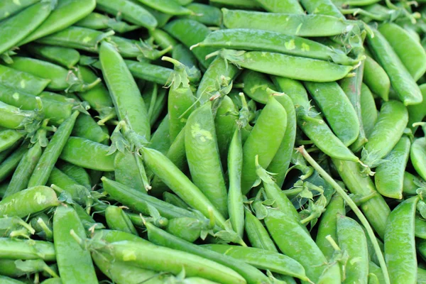 Grüne Erbse — Stockfoto