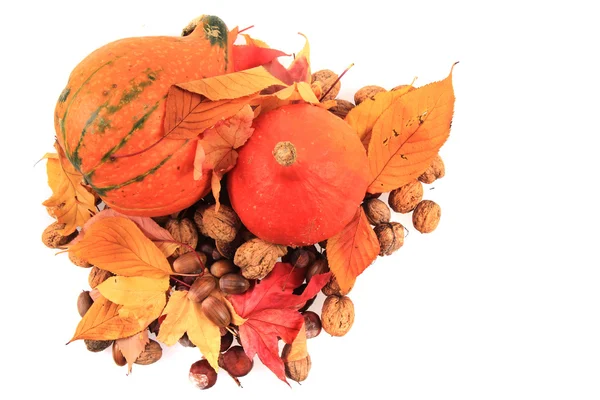 Autumn pumpkins and leaves isolated — Stock Photo, Image