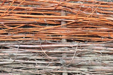 güzel bir renk sopa duvar