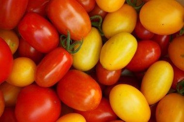 taze domates arka plan