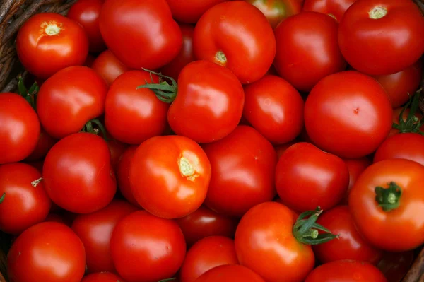 Färska tomater bakgrund — Stockfoto