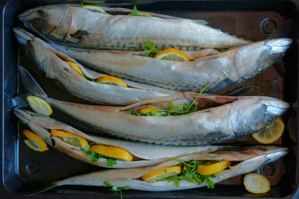 Peixes de sarda crus com limão — Fotografia de Stock