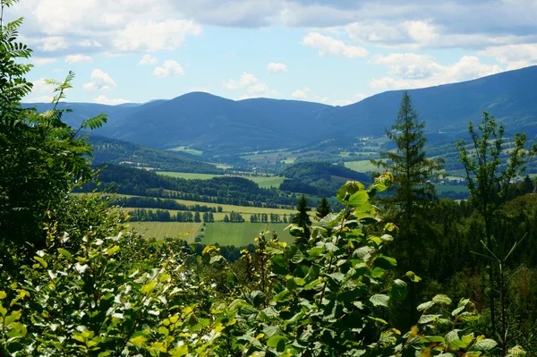 Jeseniky Gebirgslandschaft — Stockfoto