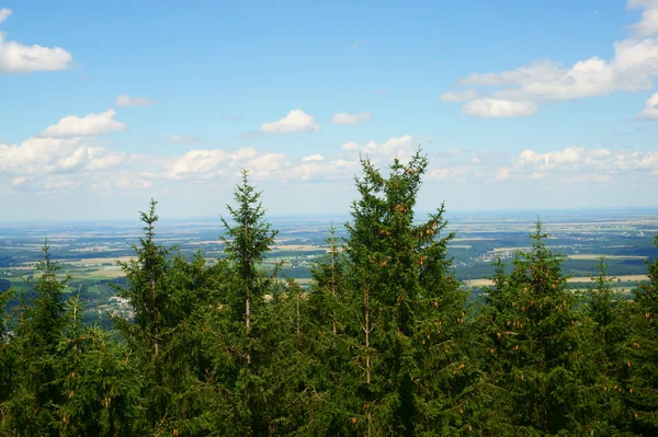 Jeseniky 산 풍경 — 스톡 사진