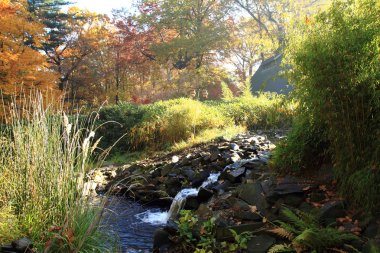 küçük sonbahar kitapçık