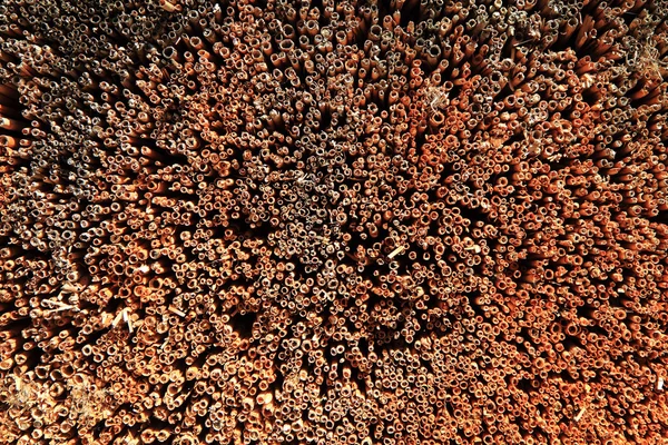 Абстрактная соломенная текстура — стоковое фото