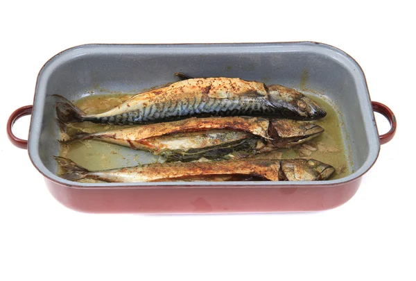 Peixes de sarda assados — Fotografia de Stock