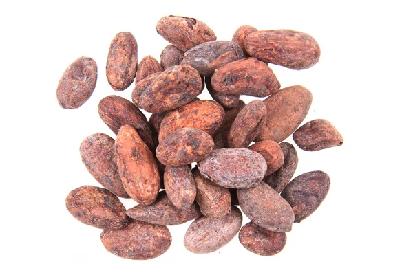 Какао-боби, ізольовані — стокове фото