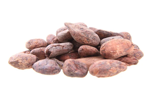 Какао-боби, ізольовані — стокове фото