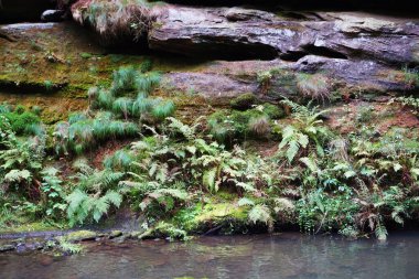 Kamenice nehri yazın küçük bir gemiden