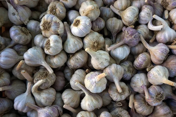 Fresh Garlic Vegetable Texture Nice Gourmet Background — Stock Photo, Image