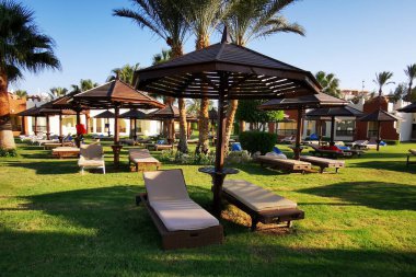 Mısır 'daki plaj çok güzel bir arka plan.