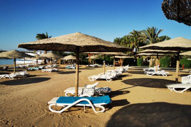 Mısır 'daki plaj çok güzel bir arka plan.