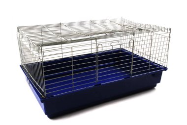 Beyaz arkaplanda izole edilmiş boş tavşan plastik kutusu