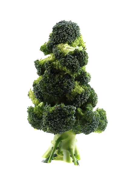 Kerstboom van brocolli — Stockfoto