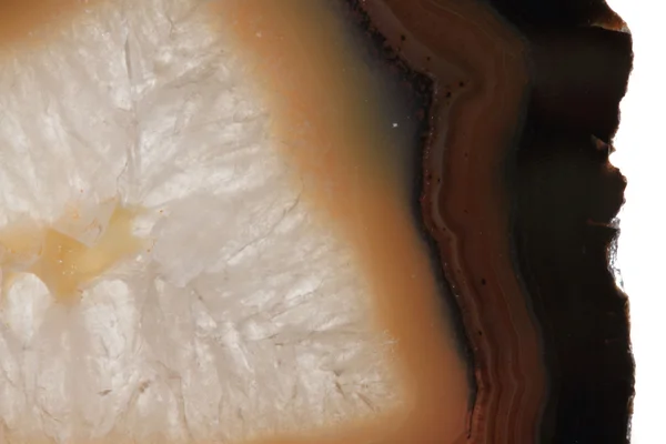 Texture d'agate blanche et brune — Photo