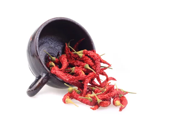 Hot chili spice — Stock Photo, Image