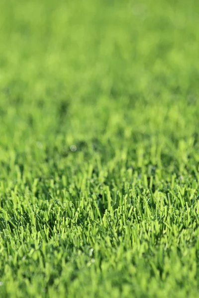Plastic green grass background — Stock Photo, Image