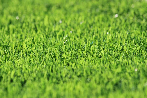塑料的绿草背景 — 图库照片