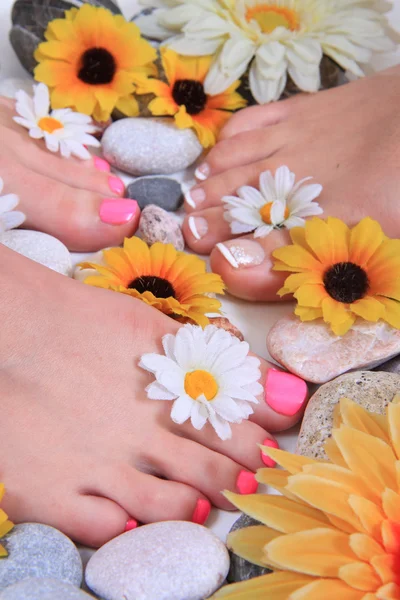 Woman legs (pedicure) — Stock Photo, Image