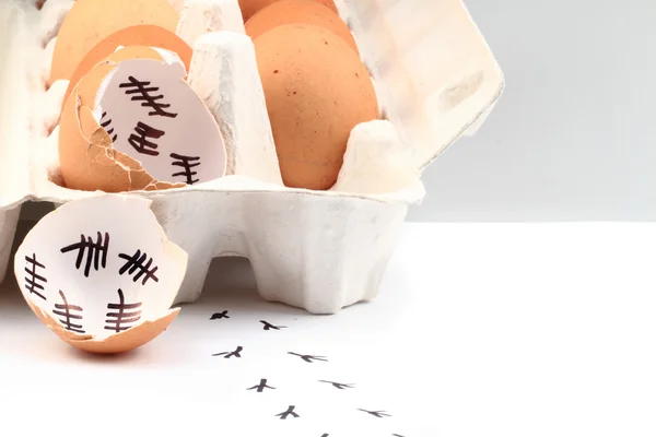 Empty egg shells — Stock Photo, Image