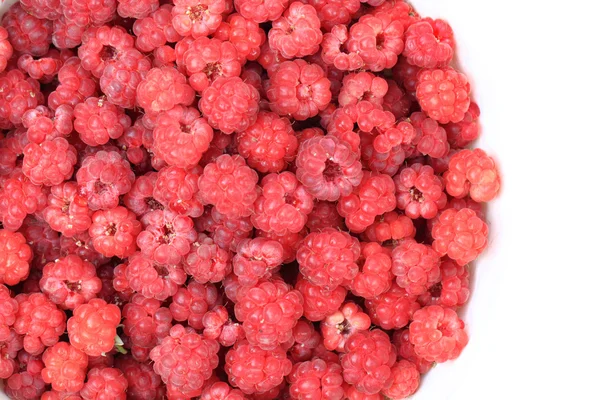 Rote Himbeeren Hintergrund — Stockfoto