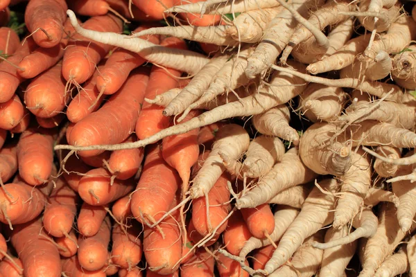 Parsley and carrot as fresh farm vegetable — Stock Photo, Image