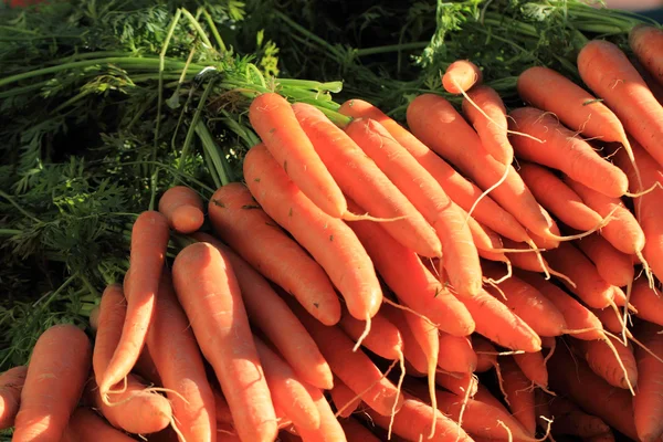 Oranje wortel plantaardige achtergrond — Stockfoto