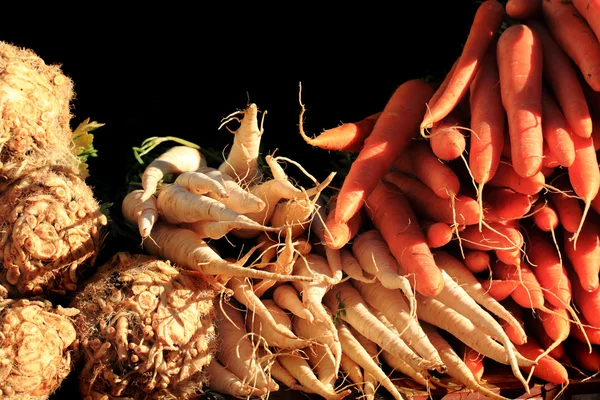 Radice di sedano, prezzemolo, carota — Foto Stock