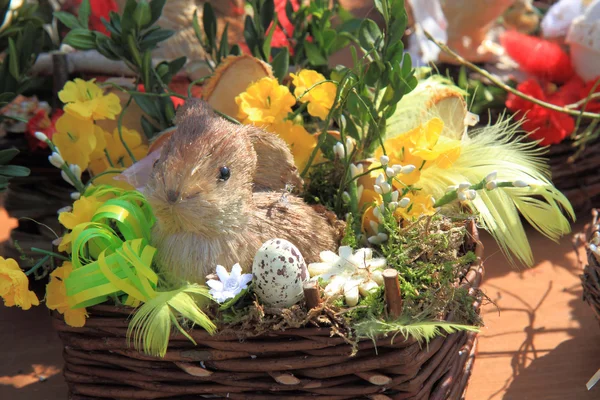 Spring easter background with rabbit — Stock Photo, Image