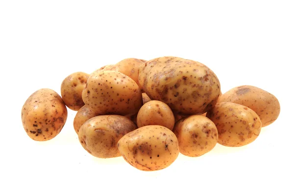 Färsk potatis isolerade — Stockfoto