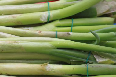 Yeşil pırasa arka plan