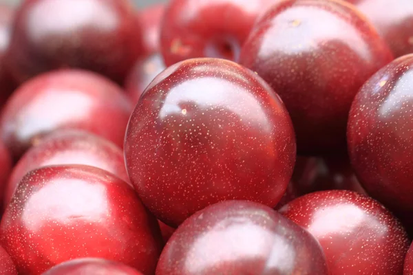 Fondo de fruta de ciruela —  Fotos de Stock