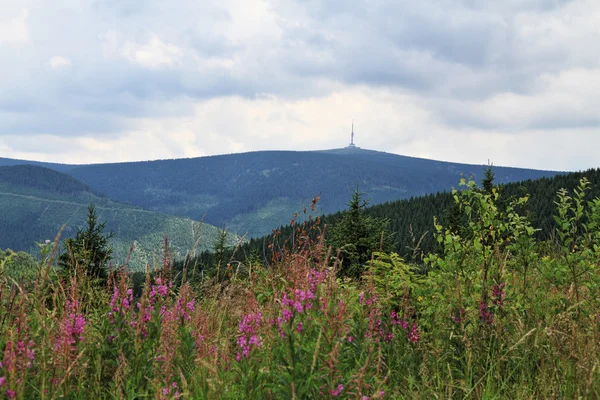 Jeseniky 山 (チェコ) — ストック写真