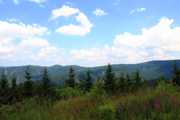 Jeseniky mountains (Tschechische Republik) — Stockfoto