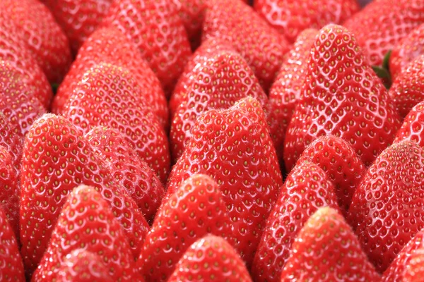 Erdbeeren Hintergrund — Stockfoto