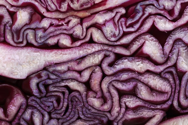 Red cabbage background — Stock Photo, Image